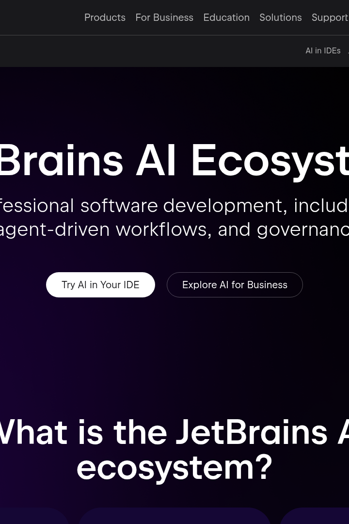 Captura de pantalla de JetBrains AI - Hero