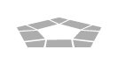 Starshield AI's Grok for Government