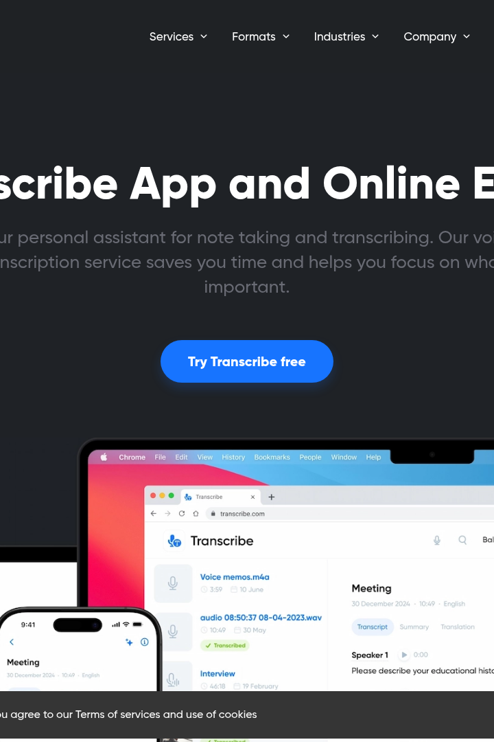 Captura de pantalla de Transcribe.com - Hero