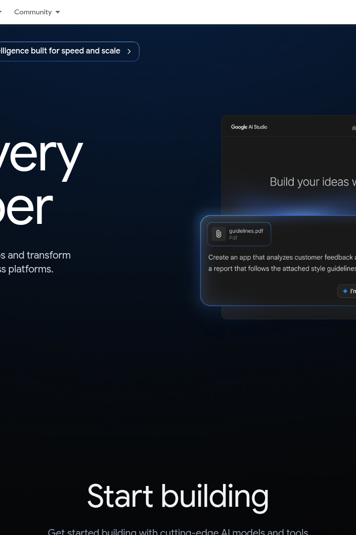 Captura de pantalla de Google AI for Developers - Hero