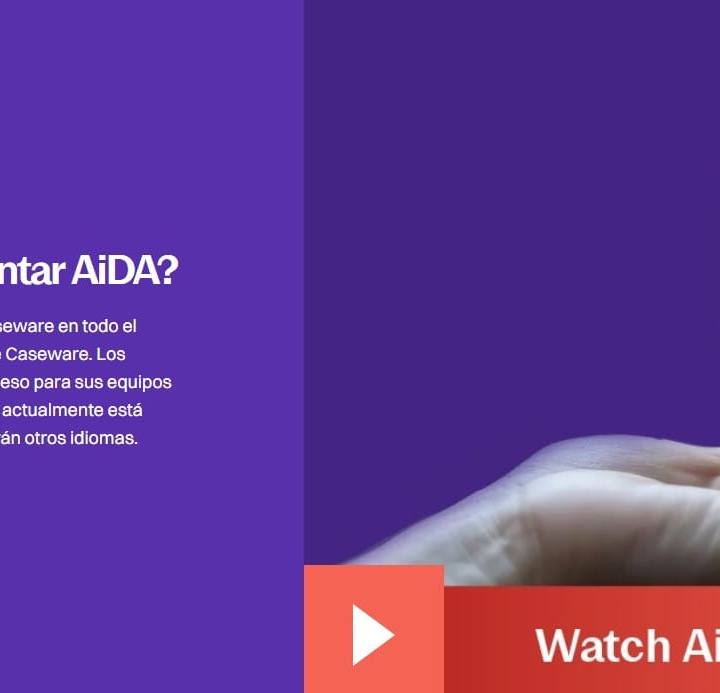 Screenshot 3 de Caseware AiDA