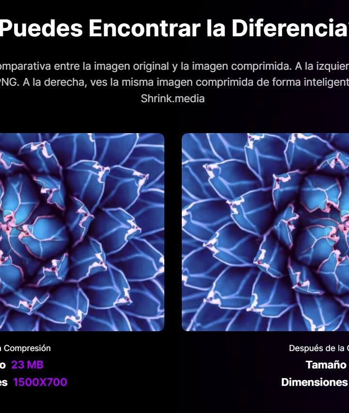 Screenshot 3 de Shrink